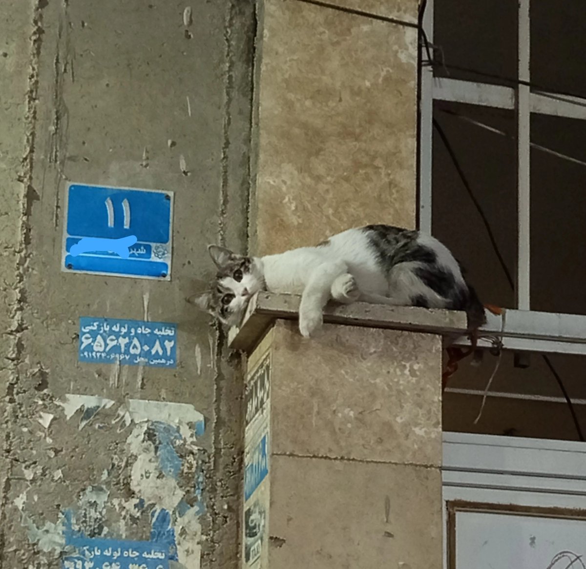 catsworldaura's tweet photo. https://t.co/NClwzAzmin