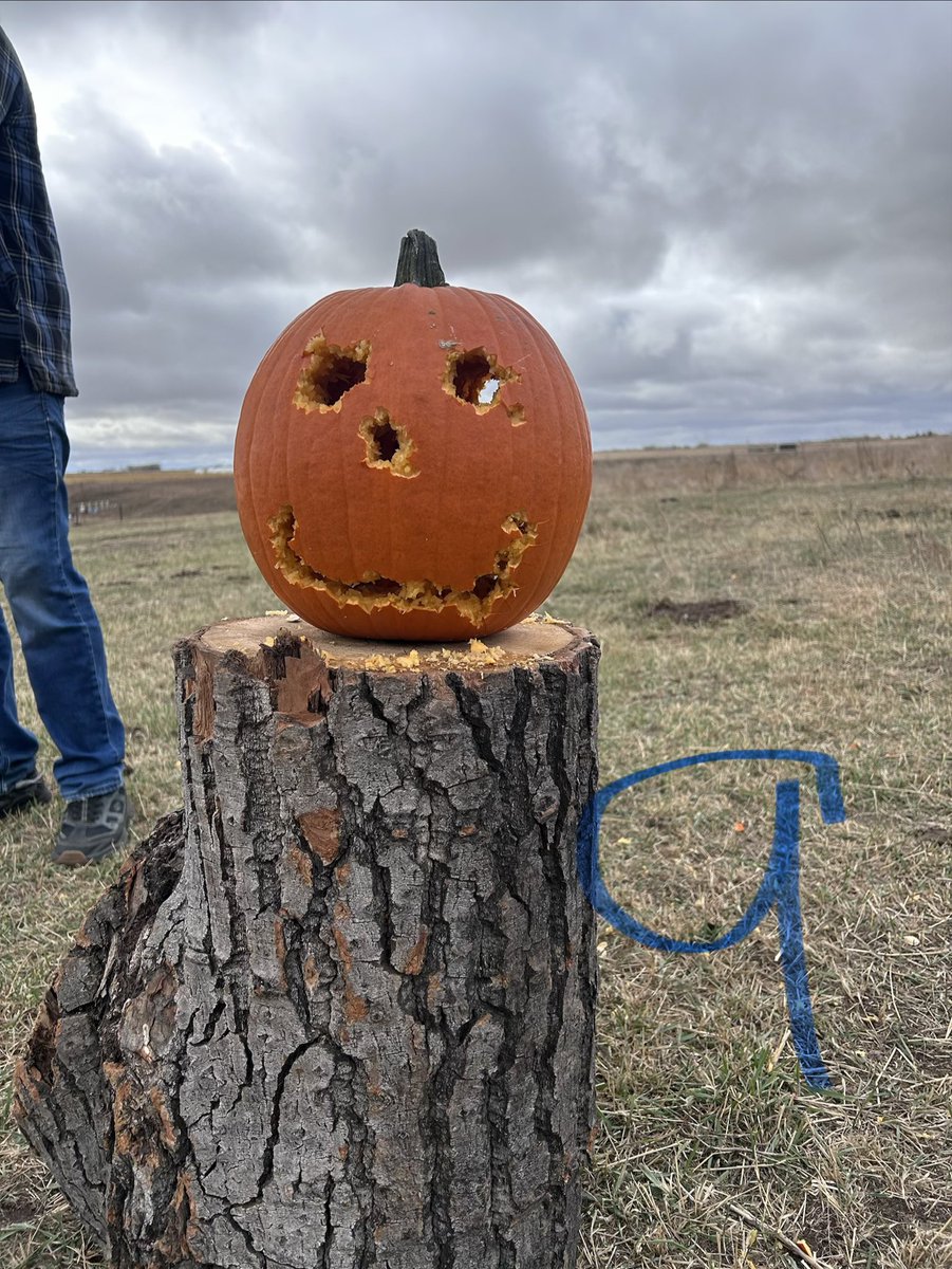 Jasonphilp's tweet photo. Pumpkin carving @50 metres with .22lr
Only injury was my thumb when I reached in the drawer to get a knife for the buns and chili!!
#gunsafety
#funwithguns
#thousandsofrounds
#jackolantern
#gunculture https://t.co/Lsy2F5hgOP