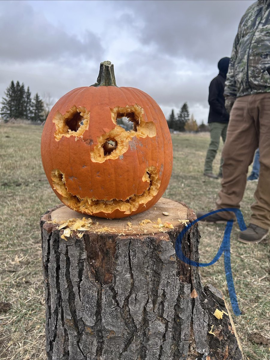 Jasonphilp's tweet photo. Pumpkin carving @50 metres with .22lr
Only injury was my thumb when I reached in the drawer to get a knife for the buns and chili!!
#gunsafety
#funwithguns
#thousandsofrounds
#jackolantern
#gunculture https://t.co/Lsy2F5hgOP