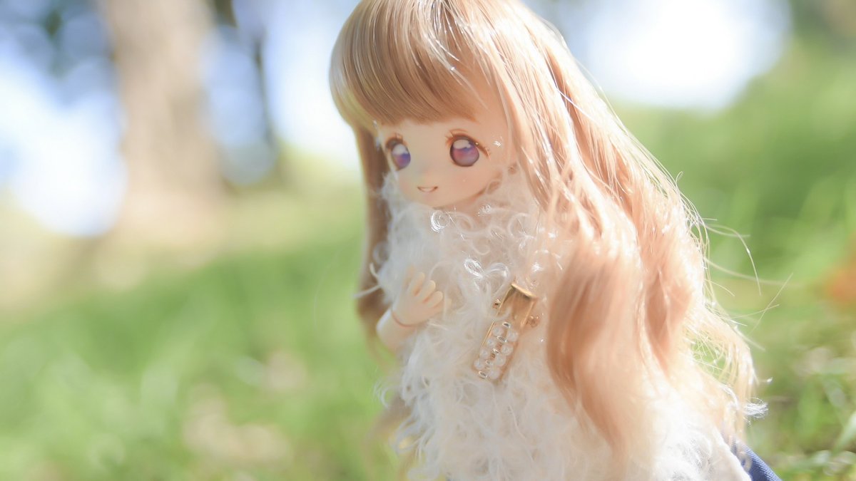 p_h_yuki's tweet photo. 今日は朝からぽこちゃと野外ドル活〜🙌🏻
涼しい〜楽しい〜🫶

#よそのこかわいい 
#うちのこかわいい
#おはドル https://t.co/aoDGuIyxIH