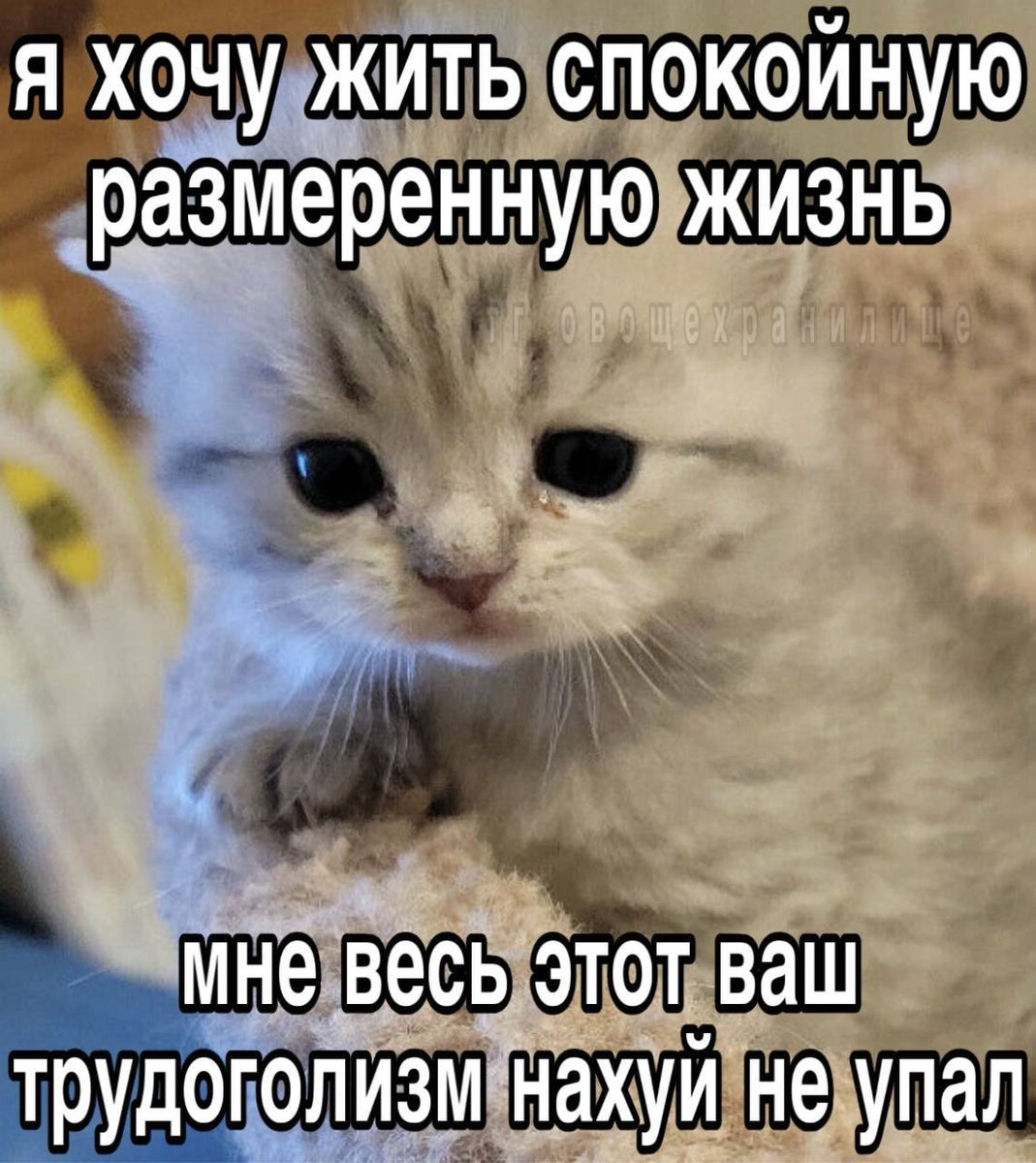 le_pzdc_total's tweet photo. @_sebir_ https://t.co/84Qdct25XL