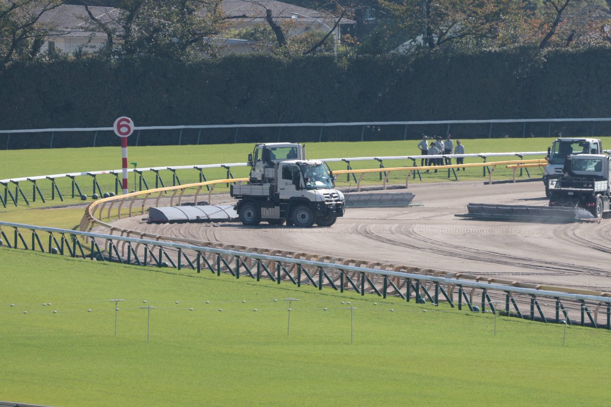 SK__Stables's tweet photo. 今日は暑くなりそうなアイルランドトロフィー府中牝馬ステークス
エリザベス女王杯へ駒を進めるのは誰だろう
#アイルランドＴ https://t.co/Kq7ATS6eIJ