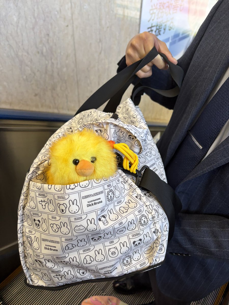 1004popo0502's tweet photo. 夫の今日の連れ🐥 https://t.co/j1UFweLLTE