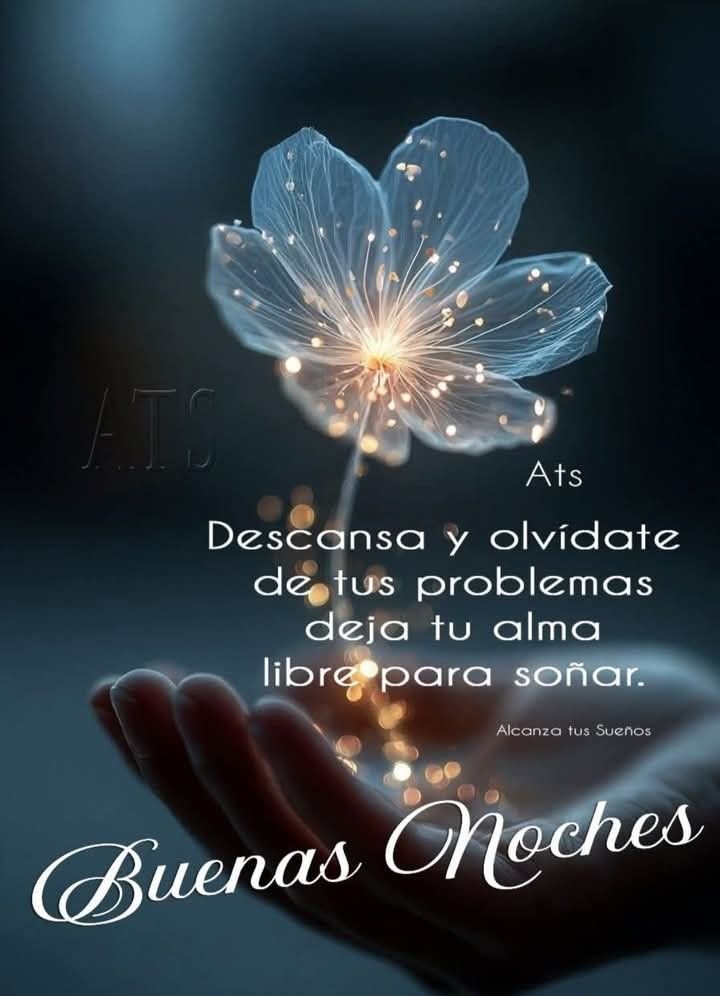 Marangel1963's tweet photo. Buenas noches ❣️ https://t.co/Z98qZcXB2K