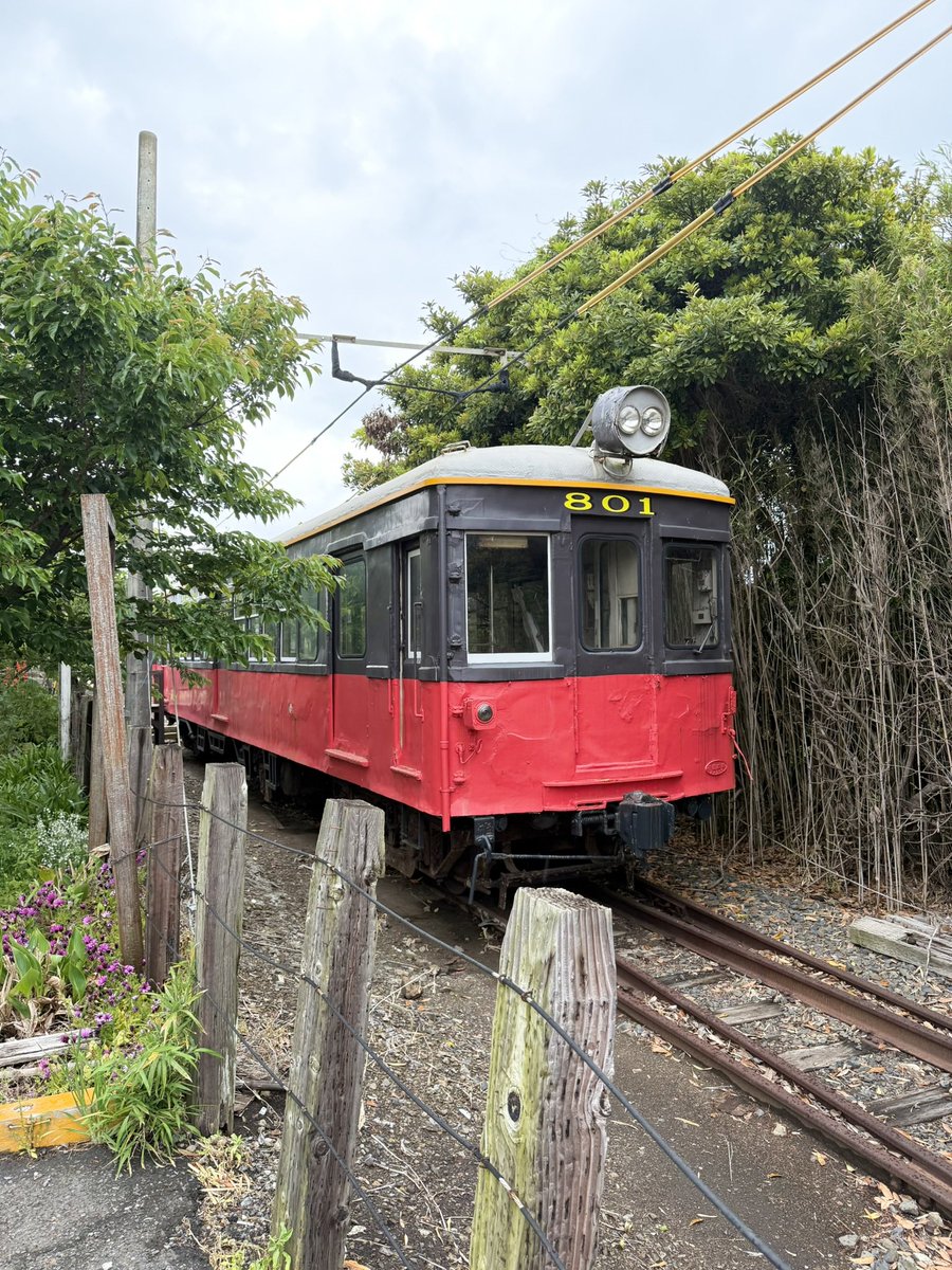 shioneru8's tweet photo. 本日10/11(日)19:30〜
KBS京都で #しおねるの鉄道幸せ美食旅 銚子電鉄 篇が放送されます📺
ぜひぜひご覧ください！！

⚠︎毎週放送ではありません。放送日は変更になる場合があります。 https://t.co/zPuTSuOmu3
