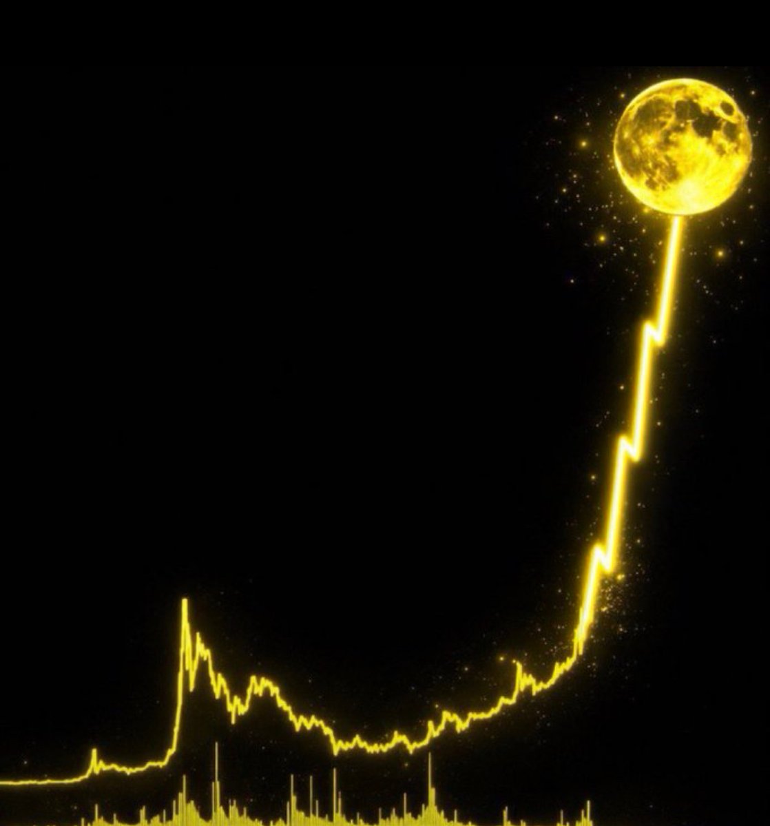 Moosaswrld's tweet photo. The next $Ai  is loading……

The next $paid  is loading……

The next $ZCAT  is loading……

The next $cashcat is loading……

The next $ember  is loading…��

Are you ready for the next 1000x? 

Comment “me” and I’ll DM you with ca!

Dont fade me! https://t.co/hLJ9IzYNiK