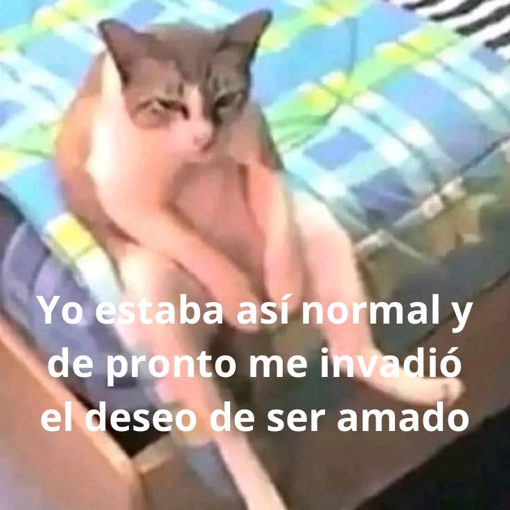 conoloracigarro's tweet photo. https://t.co/EENl4qGSmU