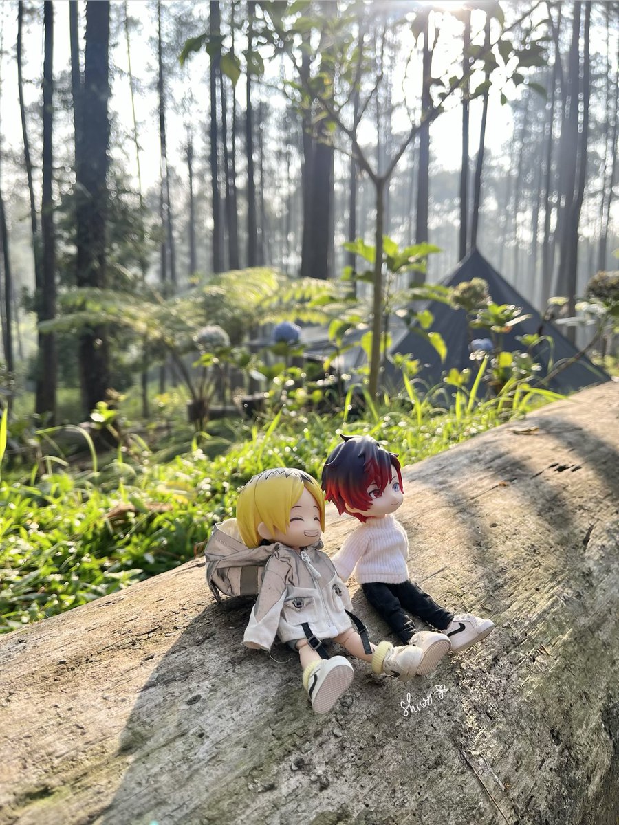 shirosakiblooms's tweet photo. a really good morning 🌱 https://t.co/rG41LkalZm