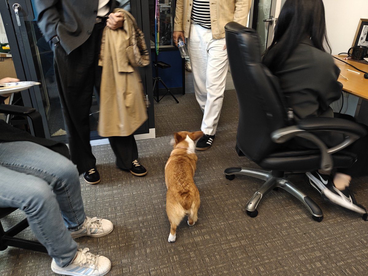 DeepInsightLabs's tweet photo. Met the legendary pooch tonight at #SFTechweek https://t.co/HQqdiSF1Dp