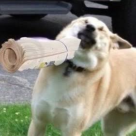 FerMarPort's tweet photo. @tonito_m2022 @ArielBaras32319 @pedroferriz3 https://t.co/5YsrFJOEih