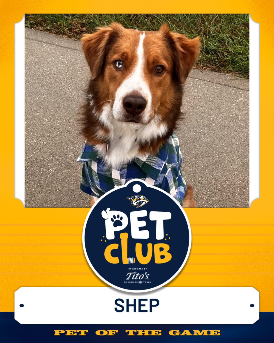 PredsFoundation's tweet photo. Tonight's @TitosVodka Pet of the Game is Shep 👀 https://t.co/RQvKSeXqi7