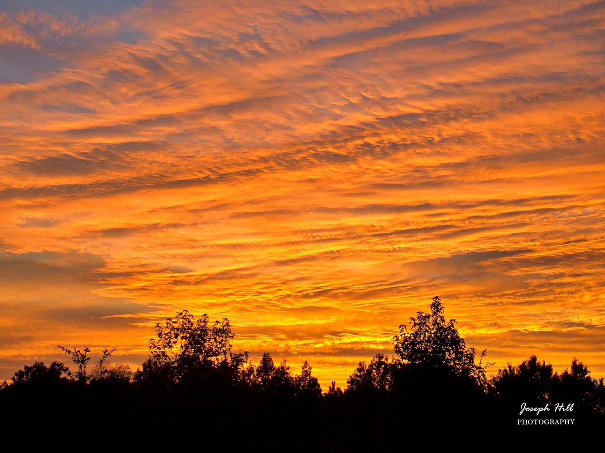 JosephHill3794's tweet photo. Fiery Orange Sunset☀️☁️
#October 2016
Photo By: Joseph Hill🙂📸☀️☁️
#sunset #cloudy #fierysky #orangesky #sky #trees #cloudscape #beautiful #colorful #Wow #awesome #peaceful #nature #autumn #sunsetphotography #NaturePhotography #VassNC https://t.co/xICq5lwAXi