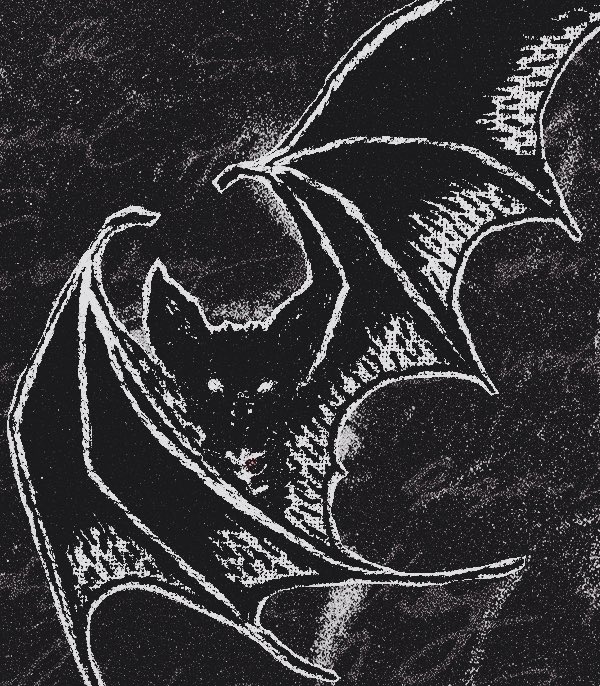 batshymn's tweet photo. https://t.co/5PxkZYzxLf