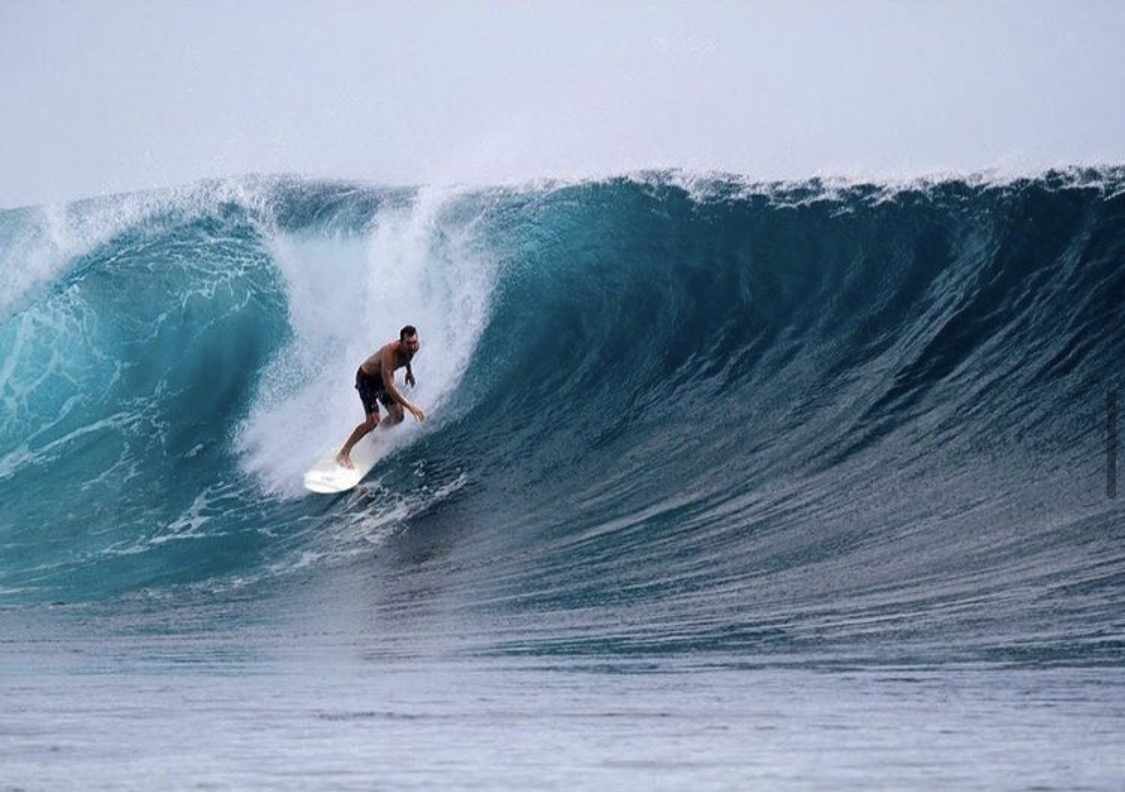grevillea_llc's tweet photo. My husband Justin Flynn taking on an epic, A- stage left swell. Xoxo. https://t.co/s77w6kjJyz