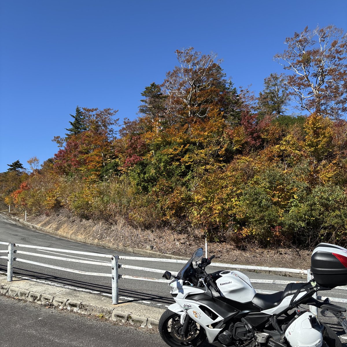 macchi_oops's tweet photo. 西吾妻スカイバレー
紅葉、晴天、最高 https://t.co/jYnVUkCUlh