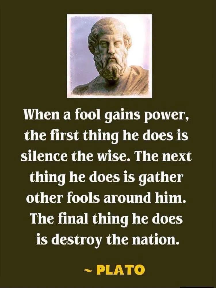 manjitghuman58's tweet photo. Good morning 🌿… https://t.co/xu5p5G0DEo