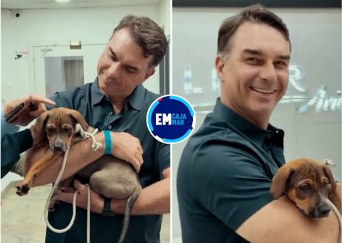 cnt_pr's tweet photo. Flávio promete criar o "Ministério do Orelha", um ministério exclusivo para tratar da causa animal https://t.co/FtFZ9HRFUa