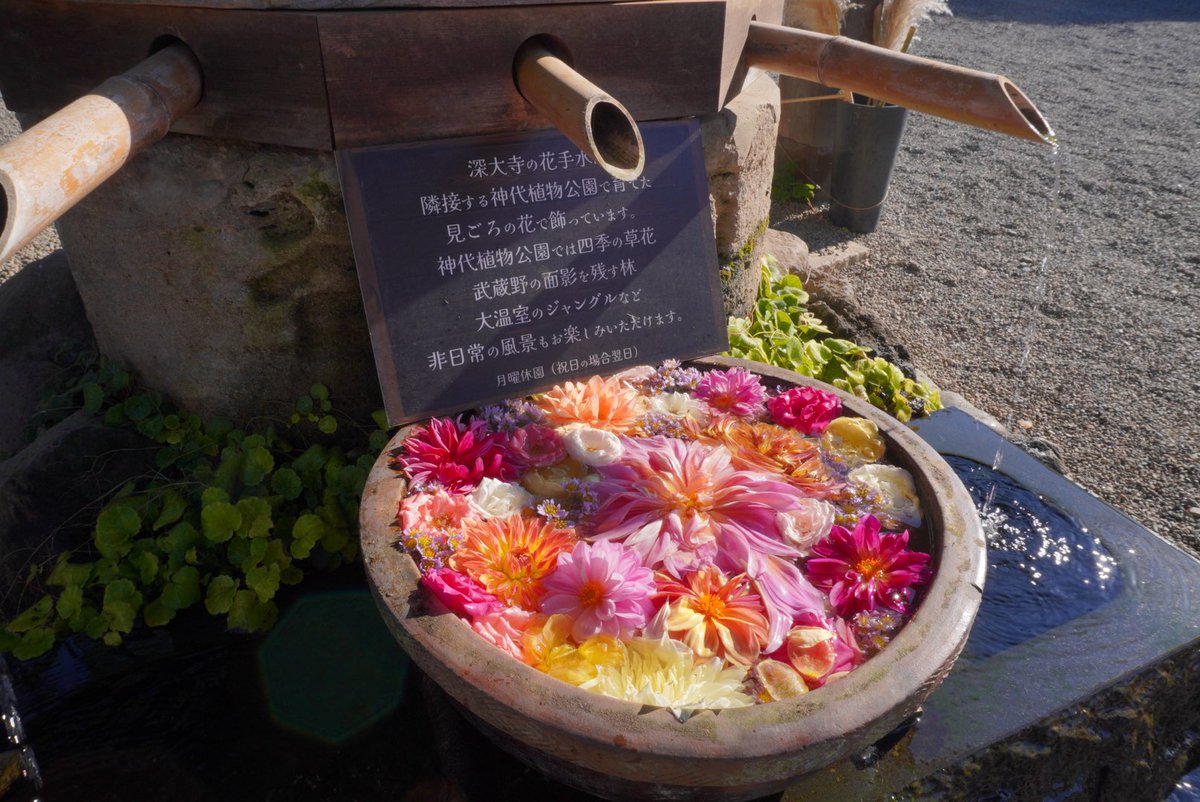 hina4192's tweet photo. 今回の夜行バス明けは市場ではなく
日曜日と言えばの「あの場所」へ https://t.co/uWZZCMDYV5