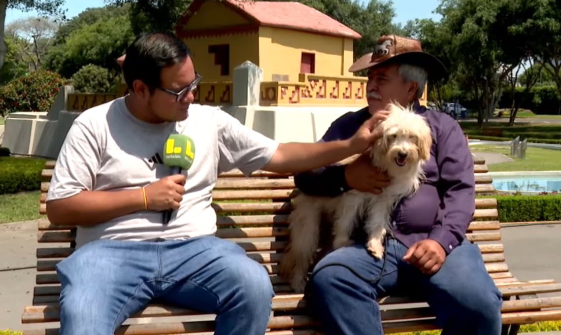 luferalchi's tweet photo. Hace unos meses, se me encargó elaborar un reportaje sobre la existencia de una nueva raza canina peruana. 
Hoy ya es una realidad. El Chaku peruano es oficialmente reconocido. 🐶❤️ https://t.co/JUrlPCfdnf
