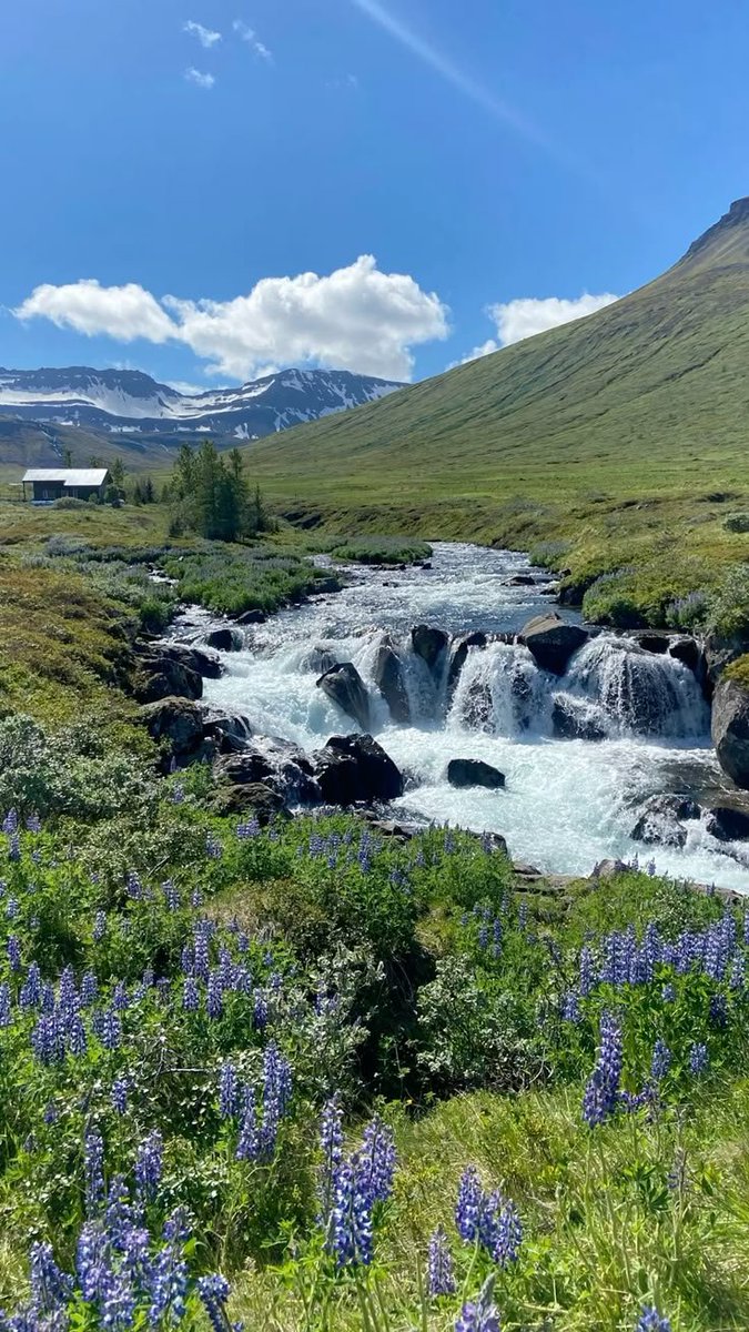 echoesofworld's tweet photo. Iceland https://t.co/9B09eTm5Mx