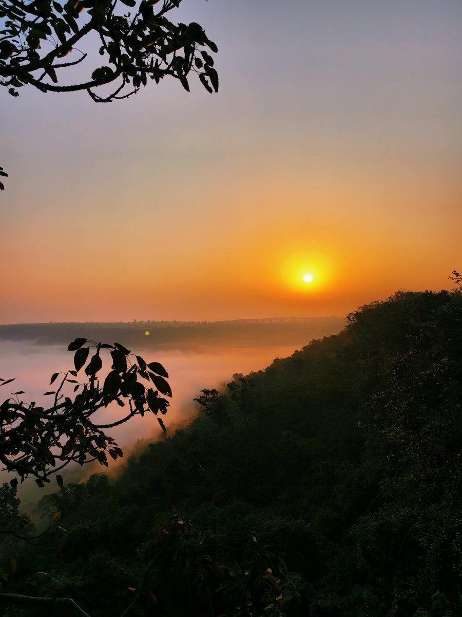 ibc24bastar's tweet photo. #Bastar Matnar hill view point the viral place 
@Bastartourism1 
@BastarDistrict
@IBC24News
#ibc24bastar https://t.co/SJLq1YjzlW