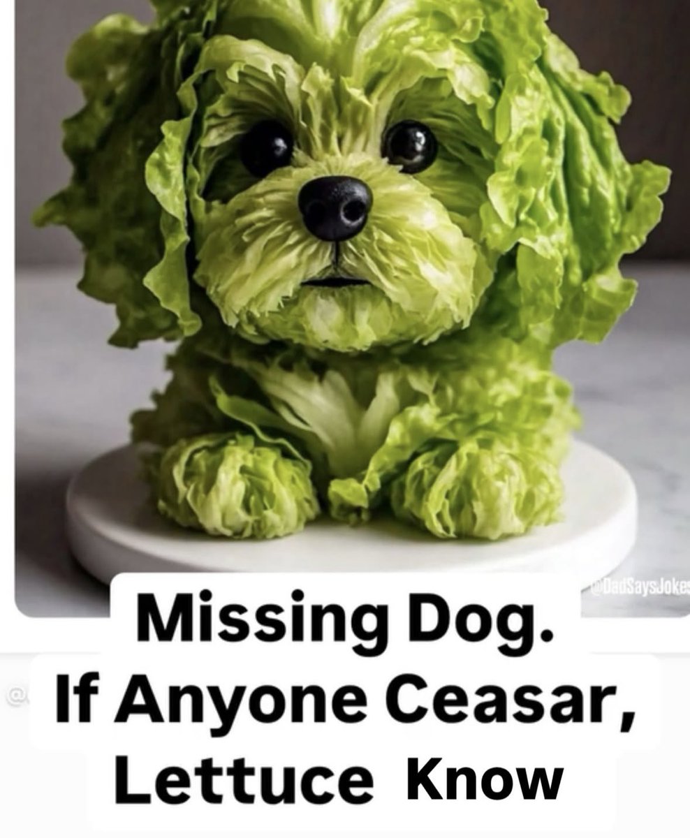 sleepcomesdown's tweet photo. @flibbier #lettuceknow https://t.co/0HoyfouDF9