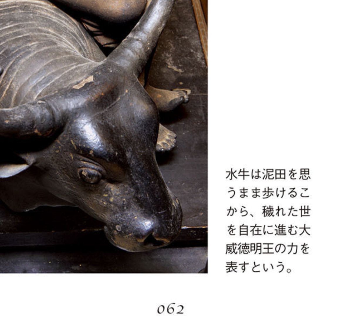 VinayaPitaka250's tweet photo. 大威徳明王が水牛に乗ってる理由をまたひとつ知ってしまった https://t.co/Sv515v6AQP