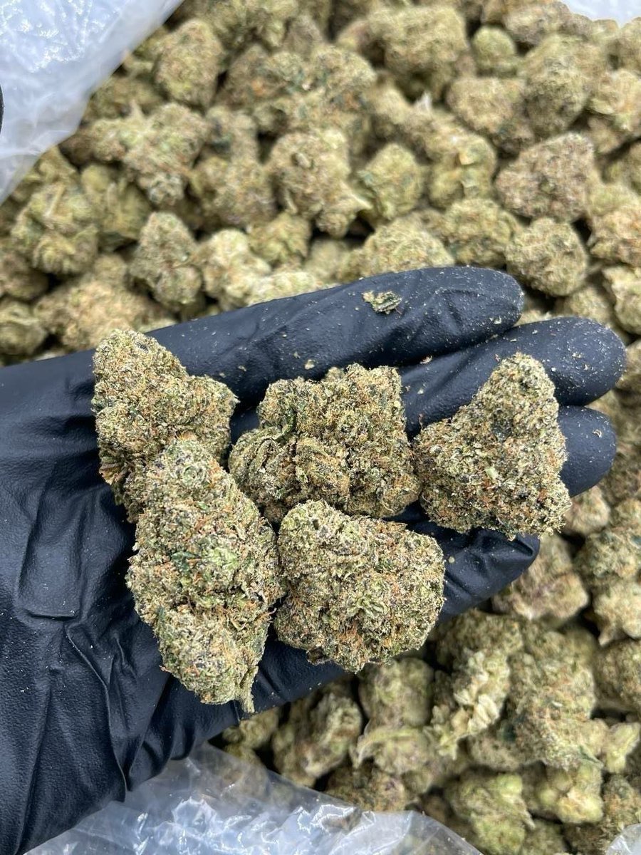 tiendatshirt's tweet photo. Sugar hill 
Candy nose 👃 10/10

Oz=$150
Qp=$200
Hp=$400
1P=$600
#Dallas https://t.co/zL5eH6I4oN