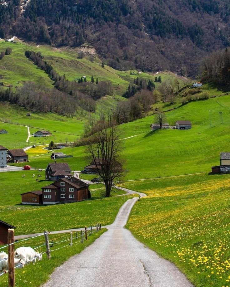 echoesofworld's tweet photo. Switzerland https://t.co/mVAuLFuEIA
