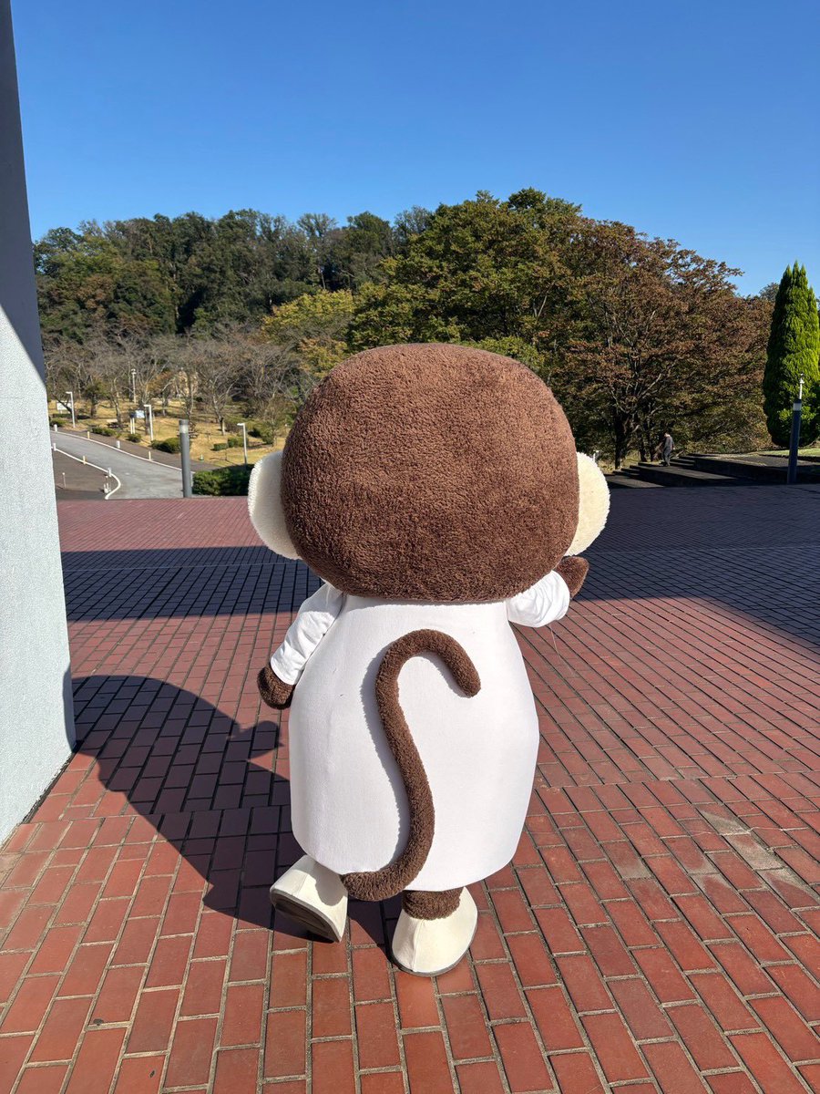 hakumonkey's tweet photo. ついに、はくモンキーが夢の…！？！？ https://t.co/Dnj96haJUT
