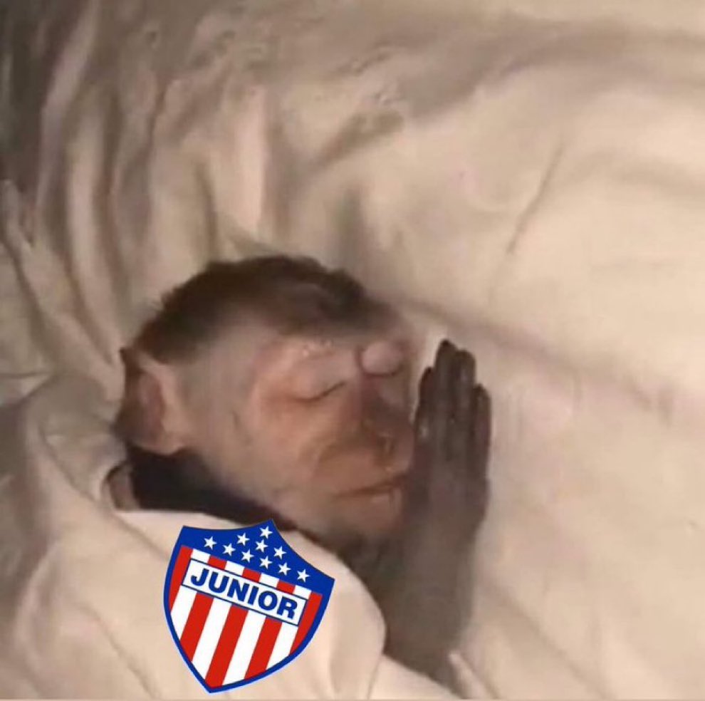 BuhoBicampeon's tweet photo. No hay nada con esa mojonera https://t.co/CDF9HHxhj9