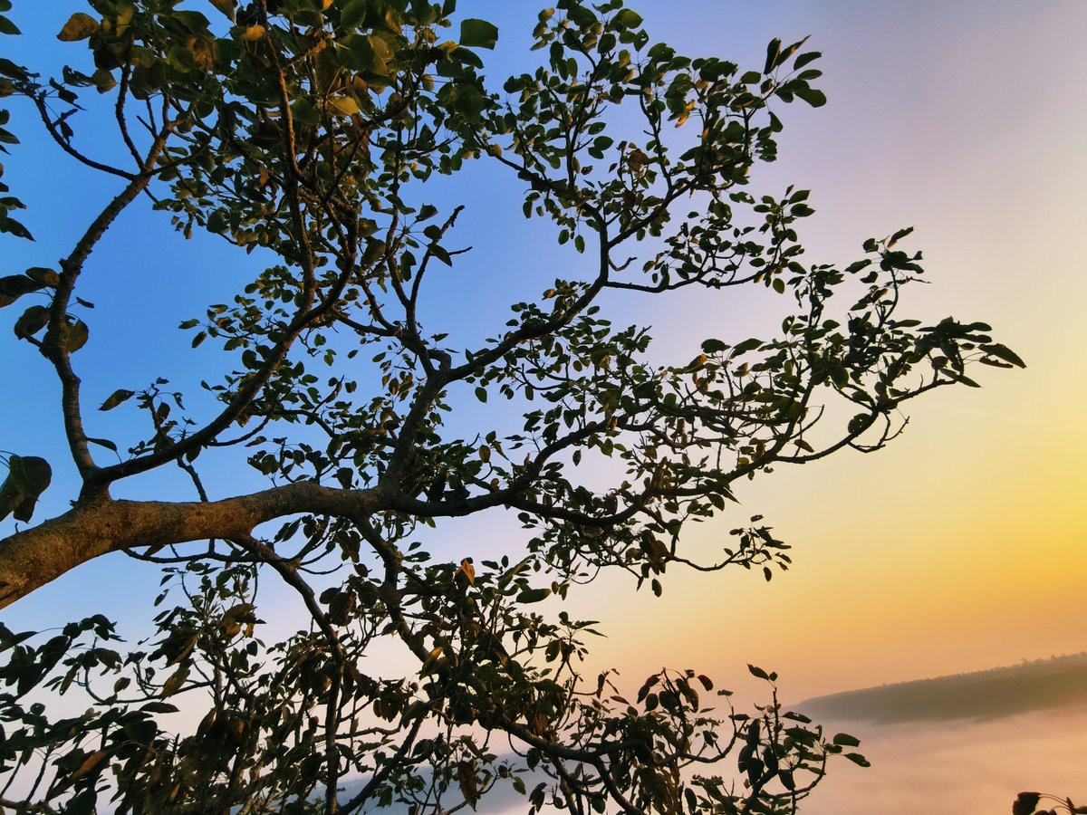 ibc24bastar's tweet photo. #Bastar Matnar hill view point the viral place 
@Bastartourism1 
@BastarDistrict
@IBC24News
#ibc24bastar https://t.co/SJLq1YjzlW