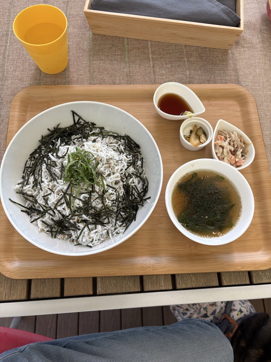 vanilla37491271's tweet photo. 今日は淡路島にキャンプ⛺️
朝ご飯🍚筋肉めしです。 https://t.co/sD1cEJiWiE