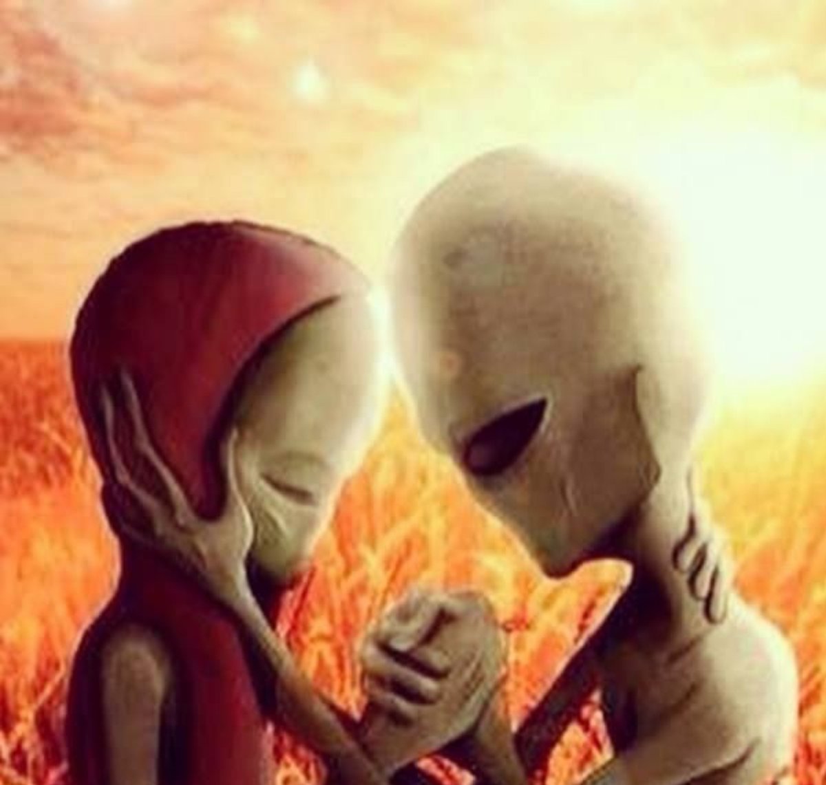 imeanuhoe's tweet photo. Amor te extraño https://t.co/xiR0o9vyfY
