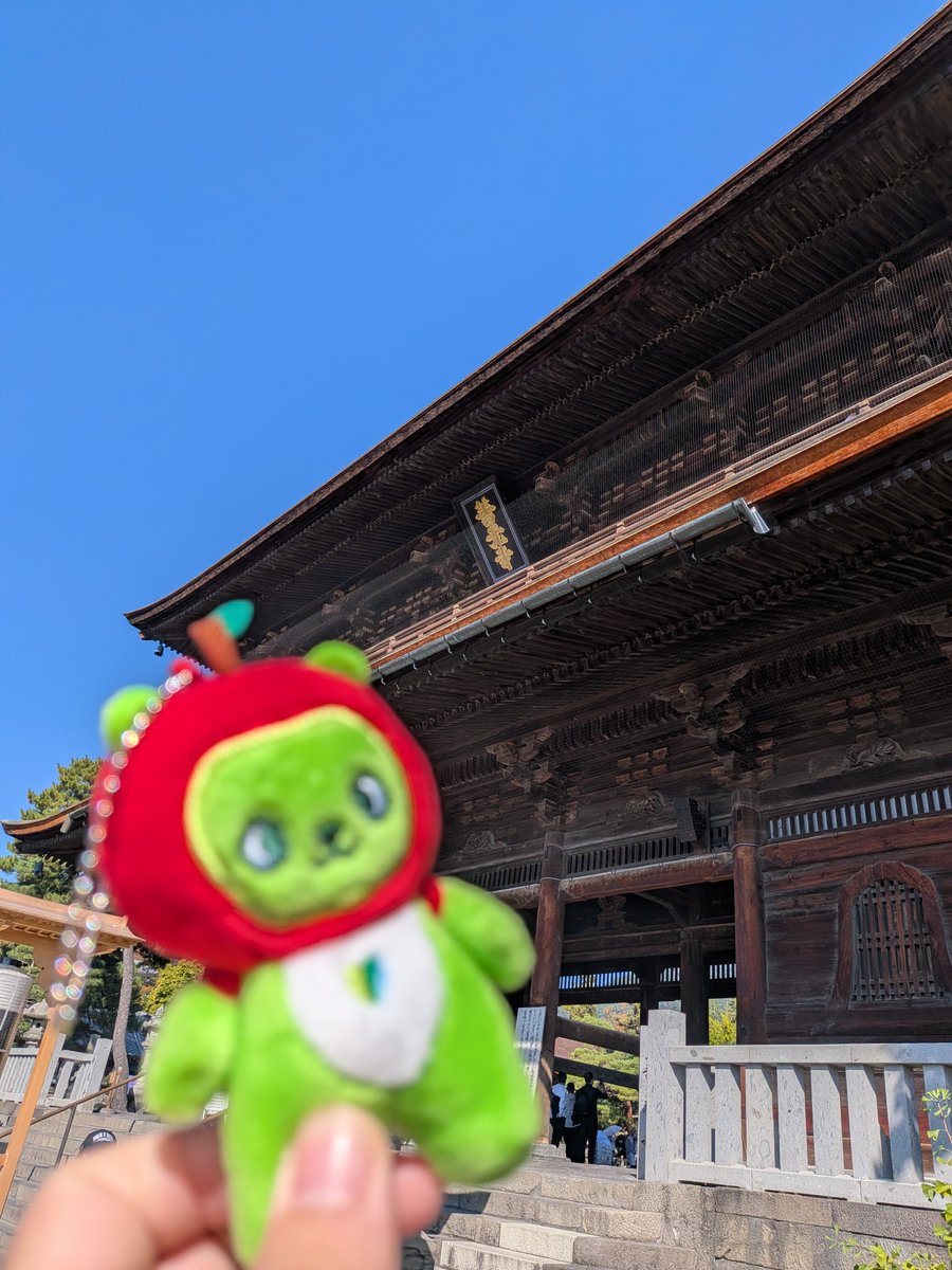 ka_tgf's tweet photo. 善光寺！ https://t.co/3M5i96Xu2K
