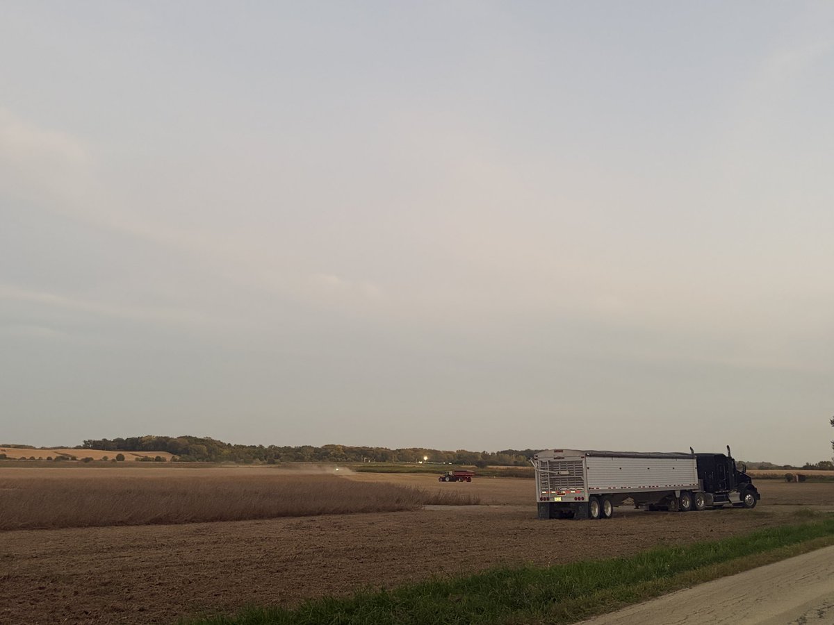 drsarahebuck's tweet photo. Saturday, October 10th = #Harvest26
👏🏻 Praise for good weather today! 🌽
High of 81F & partly ☀️ #NWIllinois
My 📸 of #Soybeans being harvested this evening 🌅 in Whiteside County, IL.
#AgTwitter #GoTime https://t.co/xEAXWkVZs6