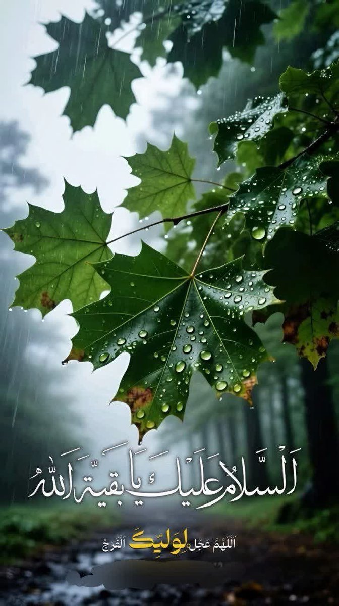 mgamalik1's tweet photo. اَلسَّلامُ عَلَيْكَ حينَ تُهَلِّلُ وَتُكَبِّرُ، اَلسَّلامُ عَلَيْكَ حينَ تَحْمَدُ وَتَسْتَغْفِرُ

صلی اللہ علیک یا ابا صالح المهدی عج 🚩
اَللَّھُمَّ صَلِّ عَلٰی مُحَمَّدٍ وَّ آلِ مُحَمَّدٍ وَ عَجّّل فَرَجَھُم 🌸
السلام علیکم! صبح بخیر 💐

#اللهم_عجل_لولیک_الفرج https://t.co/fCZmOUMppO