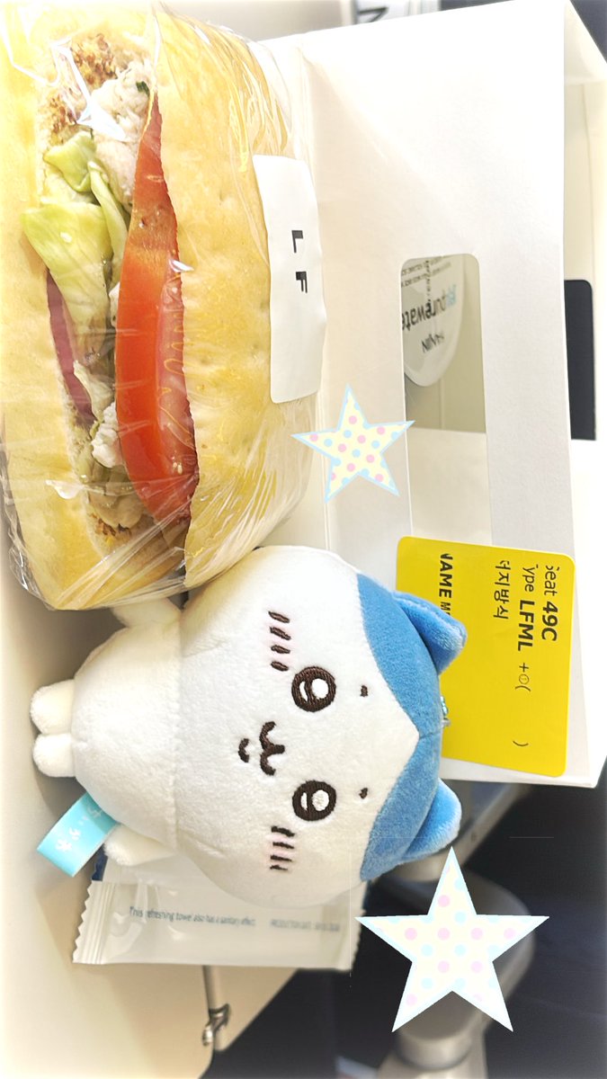 h2o_05j's tweet photo. 기내식...🥪💙 https://t.co/PWPHtWcPs7