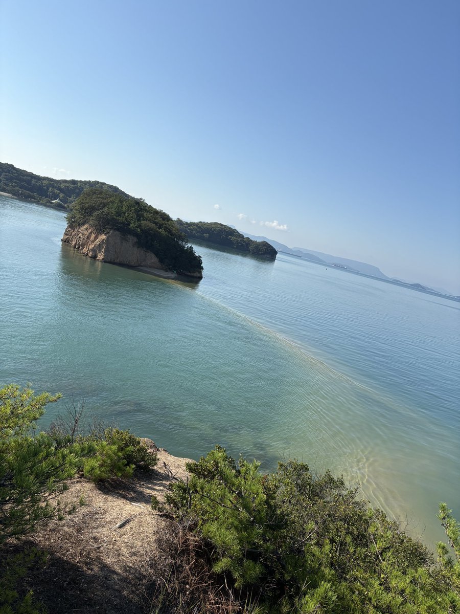 papabird_ryu's tweet photo. 「おみやげ」とリアルおみやげにオリーブ関連仕入れて撤退！短時間滞在だったけど、いい空気だったなー。今度はゆっくり来たい。

#ドラクエウォーク https://t.co/mmOh2QbRPR