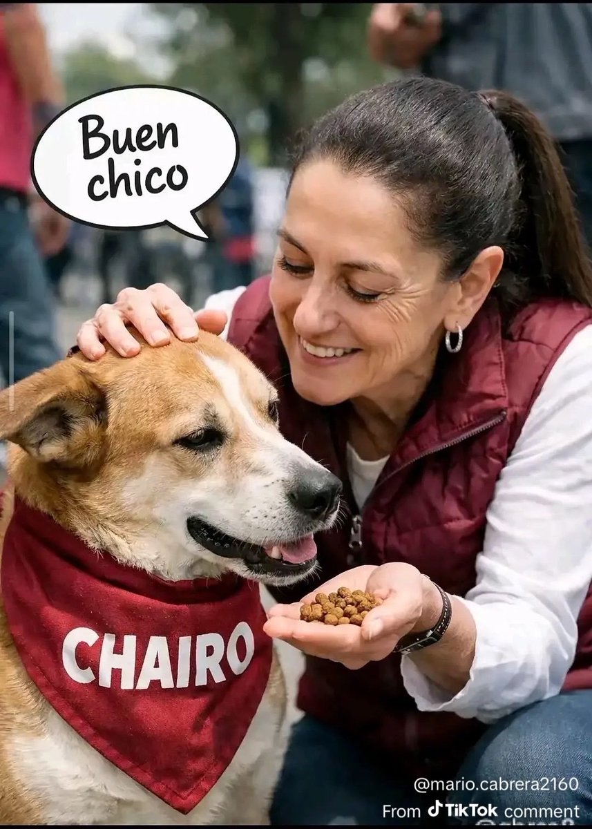peluloJal's tweet photo. @Oficial_Vicman https://t.co/EFpI53twOs