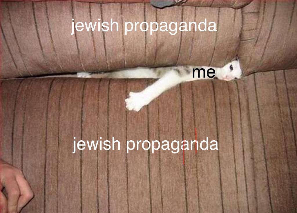 skitzohousecat's tweet photo. @DellaDream_ Cause the Nazis turned Jewish people into soap...................... https://t.co/bl4SAkxmwc