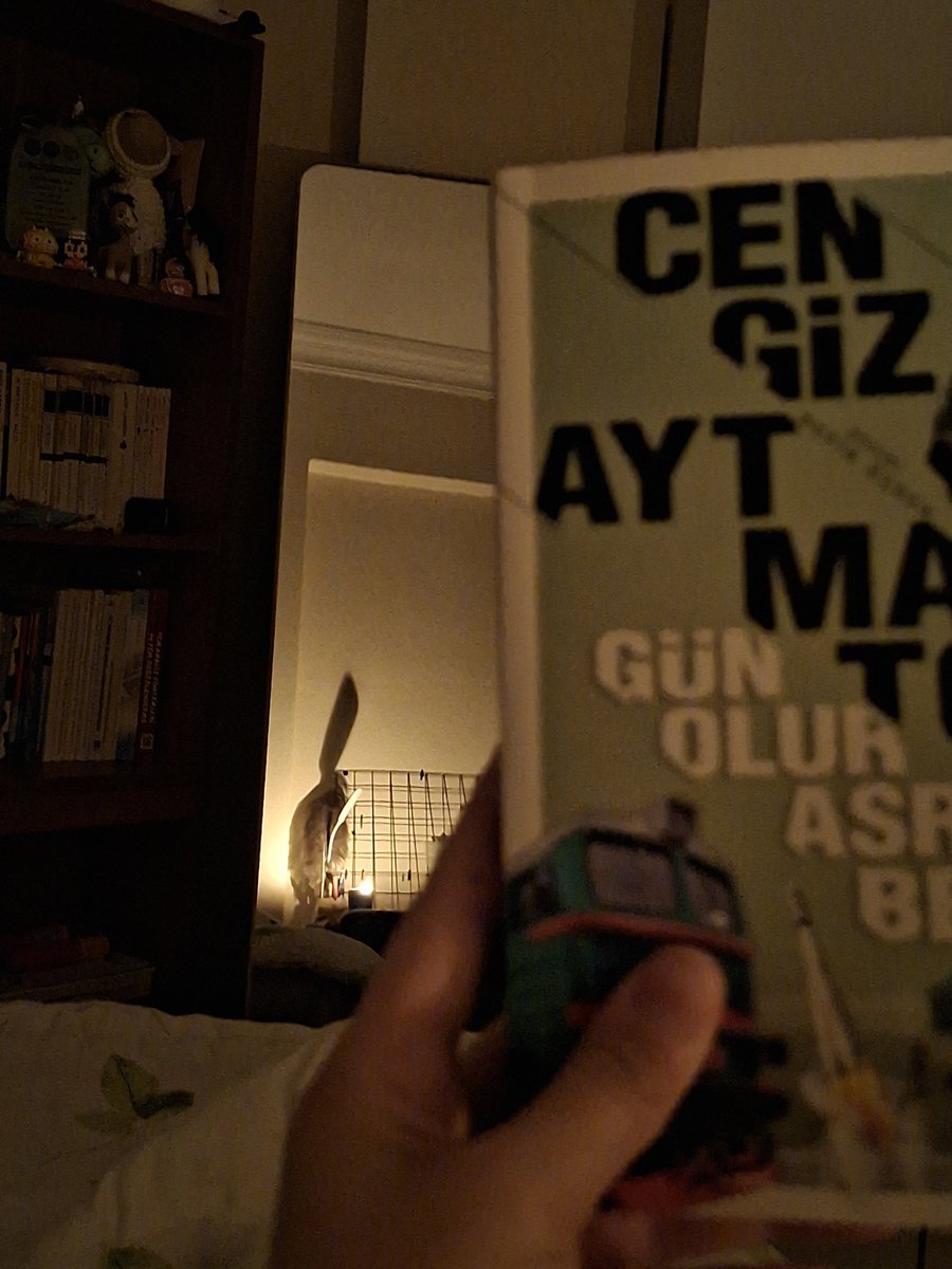 ruminantsal's tweet photo. Bir kitabı ayrı ayrı 10 farklı şekilde çekebilirim öwööxg https://t.co/wagPVjiT5y