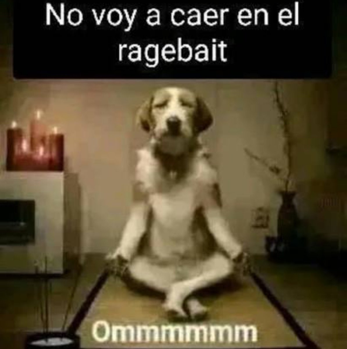 ArtyAbrazo's tweet photo. https://t.co/JffBFhKXwW