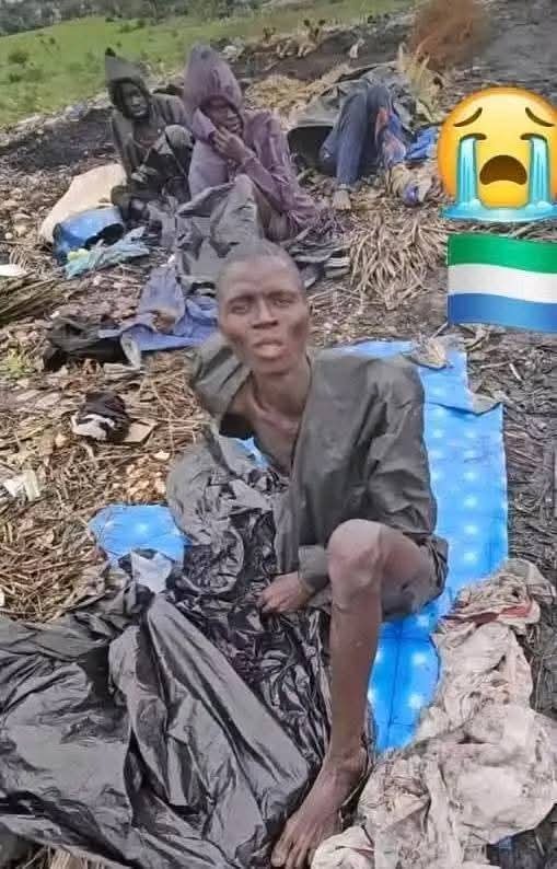 KlassicKingNice's tweet photo. #Salonex
Drug Lord says"Govt should create jobs,not blame me".But he creates graves,not Job's.He's cause of joblessness because youths who should work are dead or mad.Blaming govt while killing youths is like killing goat and blaming butcher.Jail him first,then create jobs.💔🇸🇱 https://t.co/cRPNzAsBpv