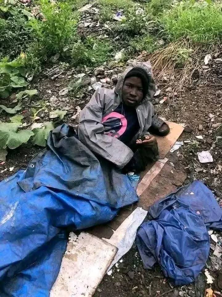KlassicKingNice's tweet photo. #Salonex
Drug Lord says"Govt should create jobs,not blame me".But he creates graves,not Job's.He's cause of joblessness because youths who should work are dead or mad.Blaming govt while killing youths is like killing goat and blaming butcher.Jail him first,then create jobs.💔🇸🇱 https://t.co/cRPNzAsBpv