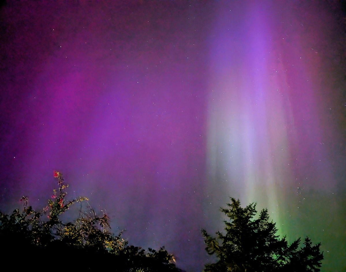 MJLbirder's tweet photo. A rather lovely display from the Aurora Borealis in Scalloway tonight. https://t.co/zkq0vTch5B