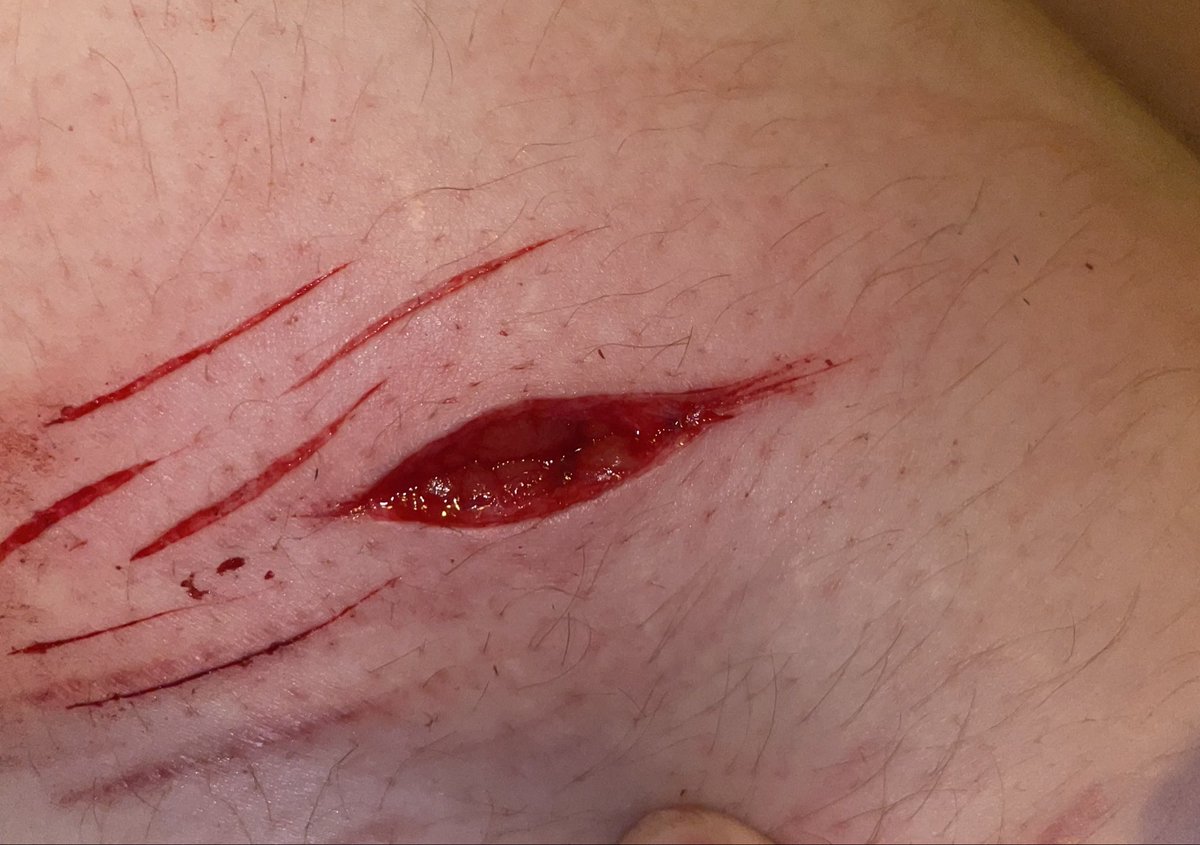 vivimuttz's tweet photo. sfx makeup, i need y’all’s professional opinions. is the sfx makeup i just did bby beans or beans? 👀 ALL SFX FAKE AI MAKEUP https://t.co/sr53gUdsBw