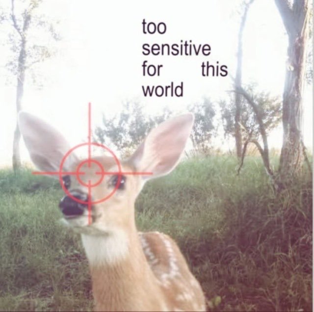 lexilovesmedia's tweet photo. sometimes i'm outside and feel like this https://t.co/1MwMS0iVc4