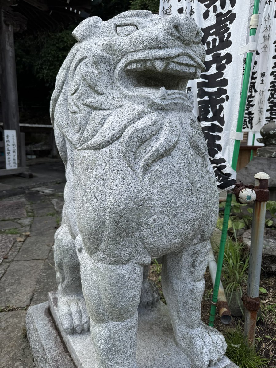 baskosanasana's tweet photo. 鎌倉・成就院境外仏
虚空蔵堂
（明鏡山・円満院　星井寺）

成就院の向かい道を挟んだ場所にあるのが虚空蔵堂

高僧行基と縁のあると伝えられる歴史ある寺

鎌倉十三仏霊場
第十三番札所でもあります

御朱印は成就院にと書置きがあります

こちらは成就院境外
📷写真撮影は🆗みたいです https://t.co/LPqLYWRqTr