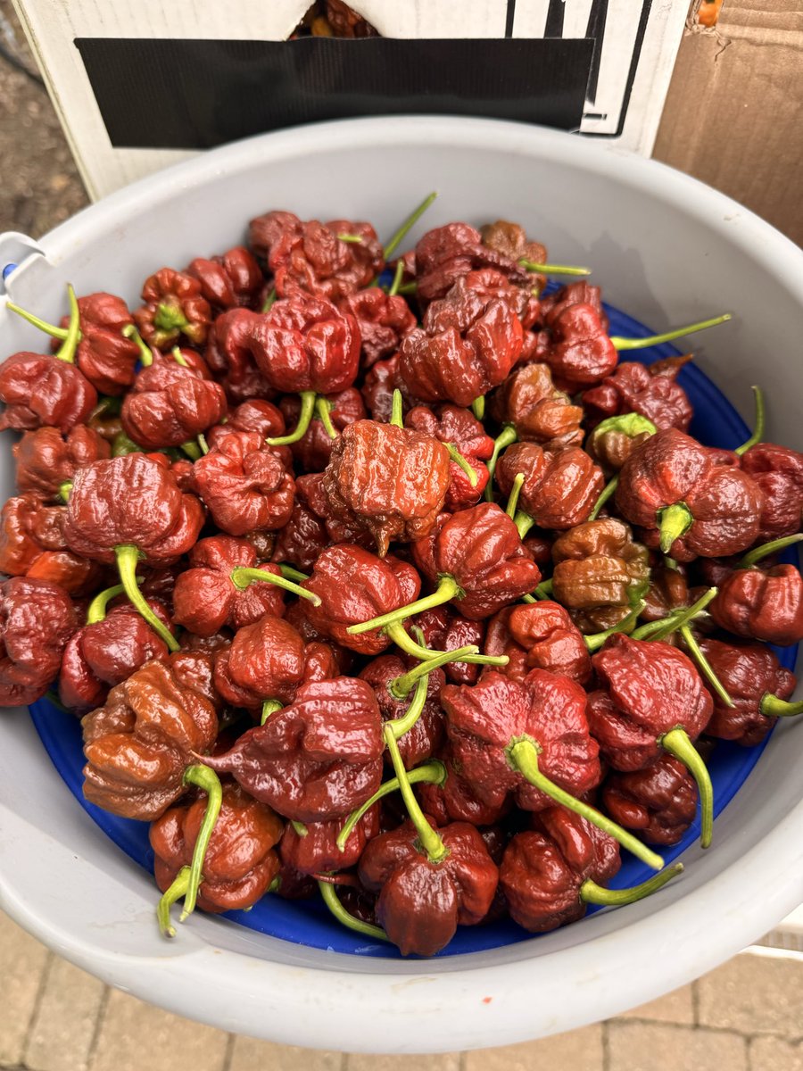HabaneroHarman tweet picture